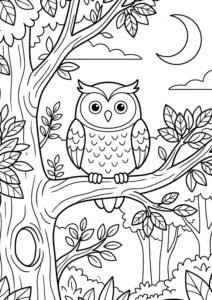 Eule bei Nacht - Vogel-Ausmalbild